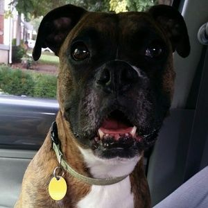 Meet your Posher, Brenna